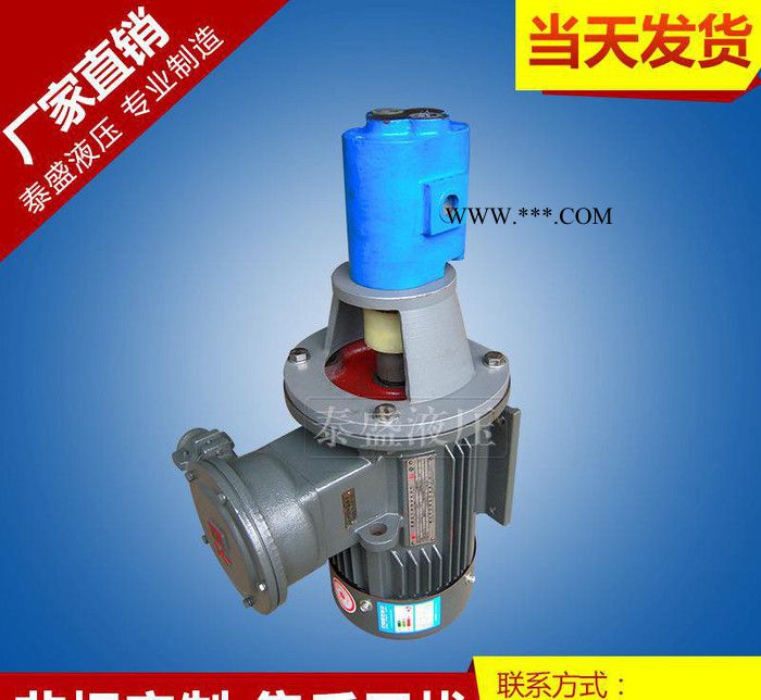 立卧式齿轮油泵 CB-B2.5JZ卧式油泵图3