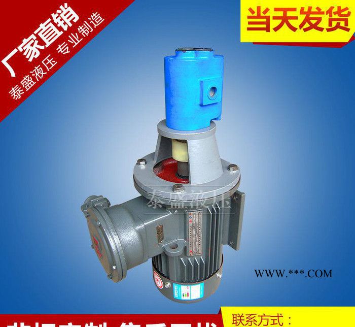 立卧式齿轮油泵 CB-B2.5JZ卧式油泵图2