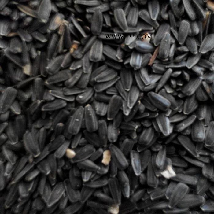 俏牌TF1500葵花脱壳机油葵籽脱壳机榨油葵花仁脱壳设备**图7