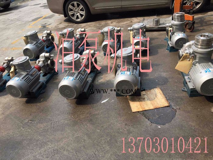 广东KCB-960齿轮油泵 齿轮油泵电机 kcb系列齿轮油泵图3
