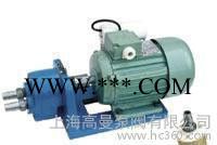 S型微型齿轮油泵/S型输油泵（普通型、不锈钢型）图2