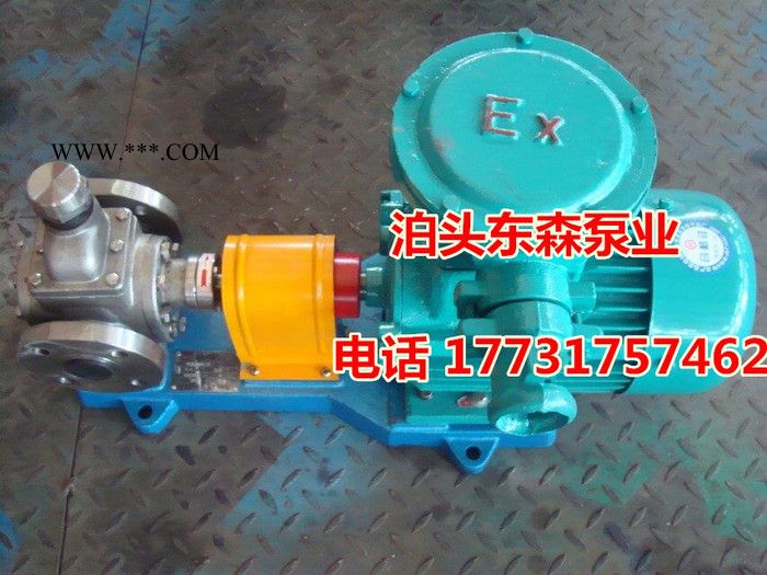 厂家自产自销东森品牌YCB0.6型齿轮油泵/循环油泵 齿轮泵图2