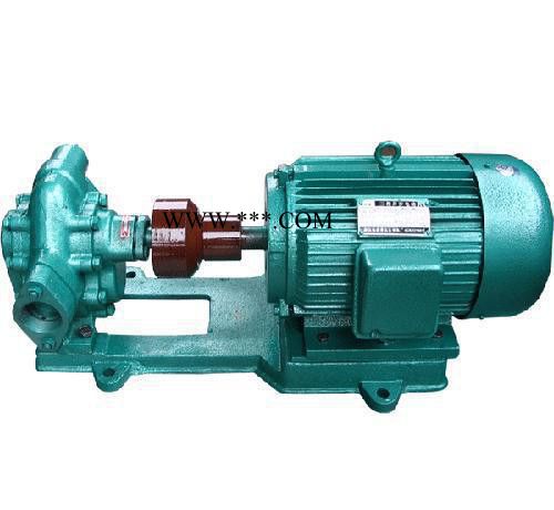 东泵厂价KCB齿轮式输油泵KCB-55**齿轮油泵自吸式油泵图2