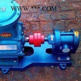 盛世泵业2CY1.08-2.5 齿轮油泵图3