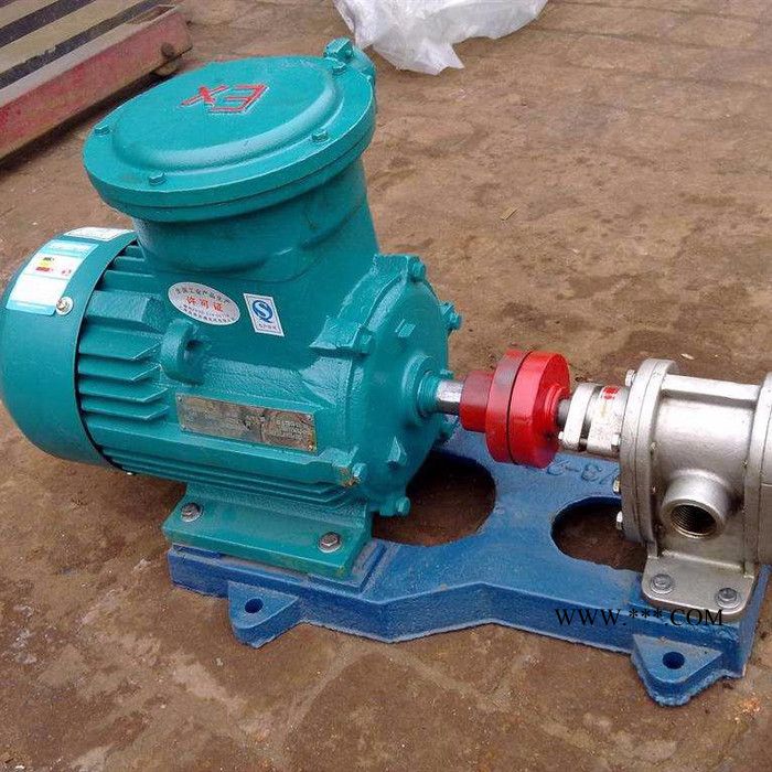 盛世泵业2CY1.08-2.5 齿轮油泵图2