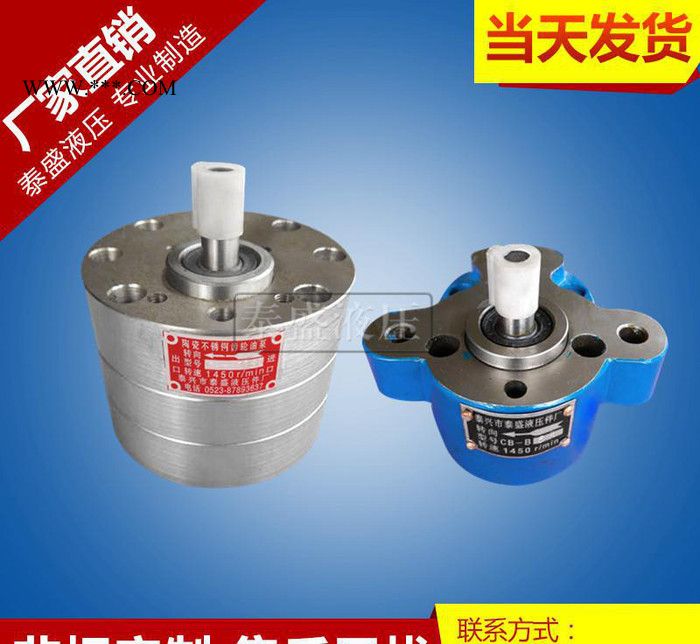 生产CB-BNS20陶瓷不锈钢耐酸碱齿轮油泵 齿轮液压油泵图2