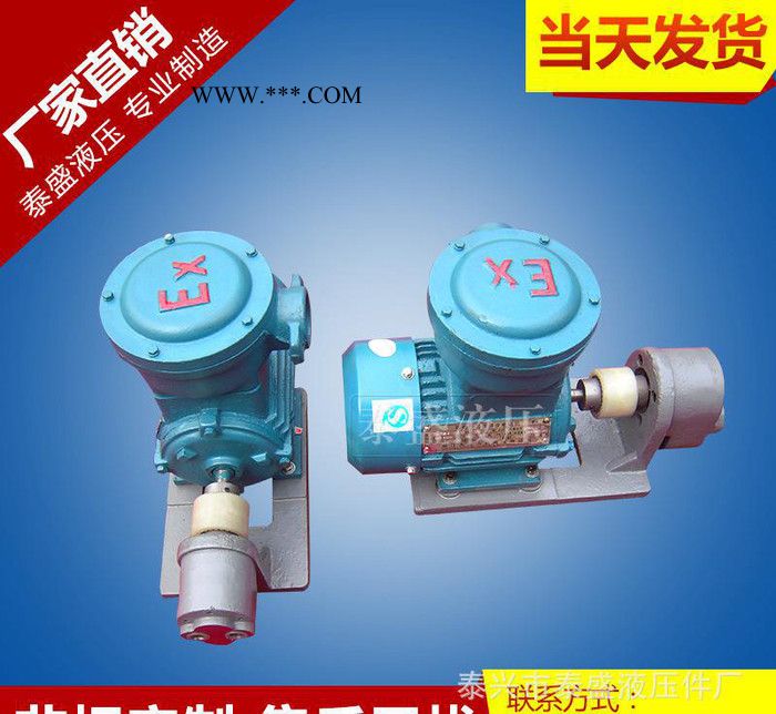 WBZ-B6FB齿轮油泵防爆电机组 泰盛卧式电动齿轮泵图2