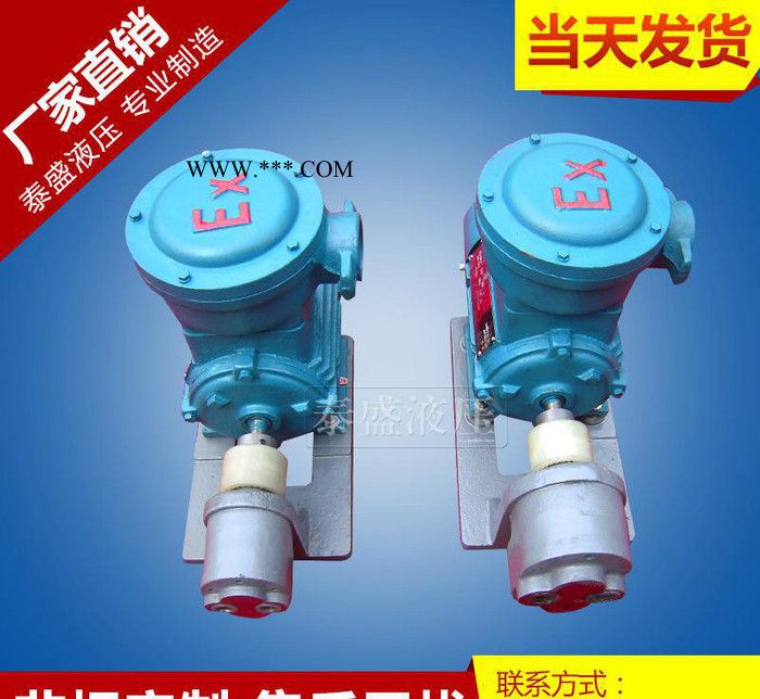 WBZ-B6FB齿轮油泵防爆电机组 泰盛卧式电动齿轮泵图3