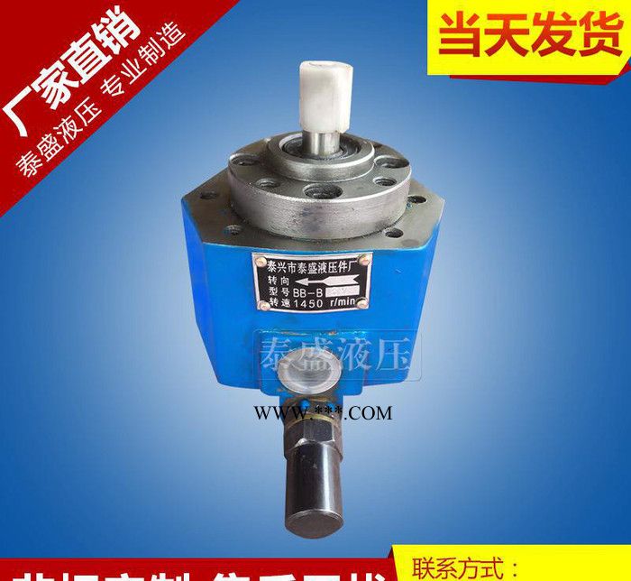 生产BB-B40Y摆线齿轮油泵 耐腐蚀摆线润滑泵图3