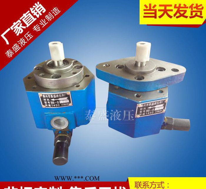 生产BB-B40Y摆线齿轮油泵 耐腐蚀摆线润滑泵图2