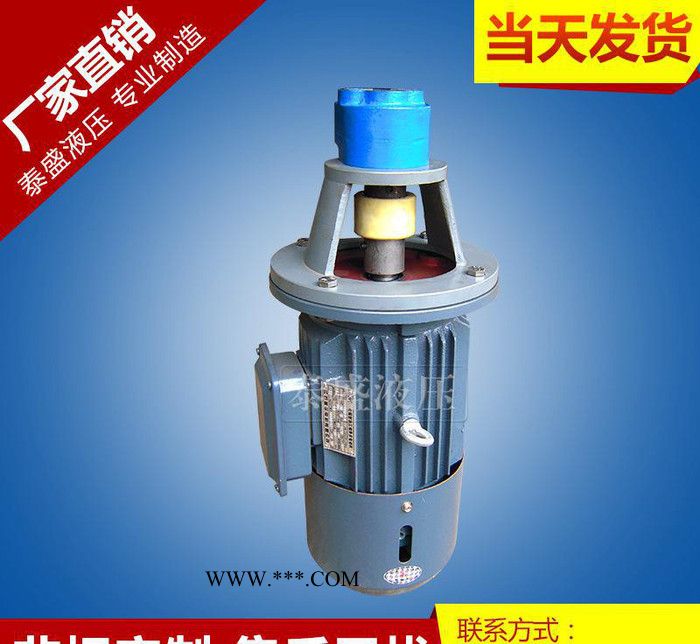 直销CB-FA40单级高压齿轮油泵 CB-FC32单级高压齿图2