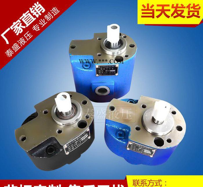 **CB-B10F齿轮泵 齿轮油泵 TH系齿轮泵 BM10系图2