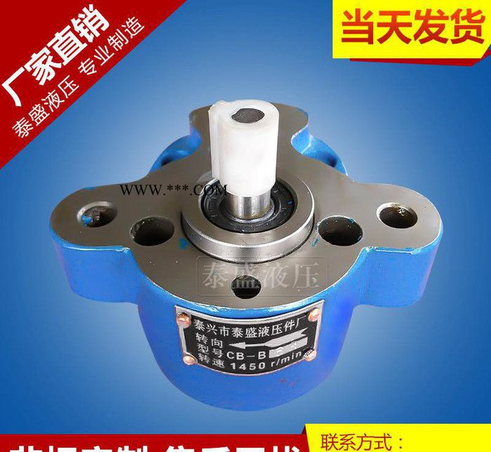 **CB-B10F齿轮泵 齿轮油泵 TH系齿轮泵 BM10系图3