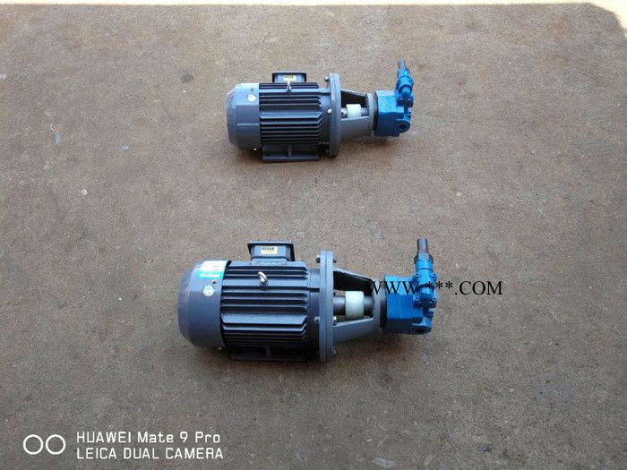 促销BB-BY型摆线齿轮油泵带安全阀,BB-B25 BB-B10Y型摆线齿轮油泵带安全阀图3