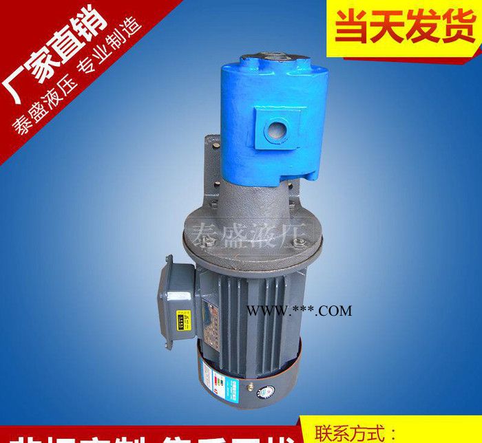 小型LBZ-16 LBZ-20立式齿轮油泵 高温泵减速图3