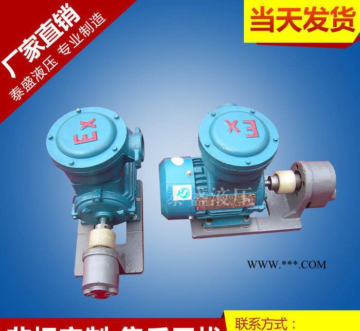 WBZ-B63FB齿轮油泵防爆电机组 卧式铸铁电动齿轮泵图2