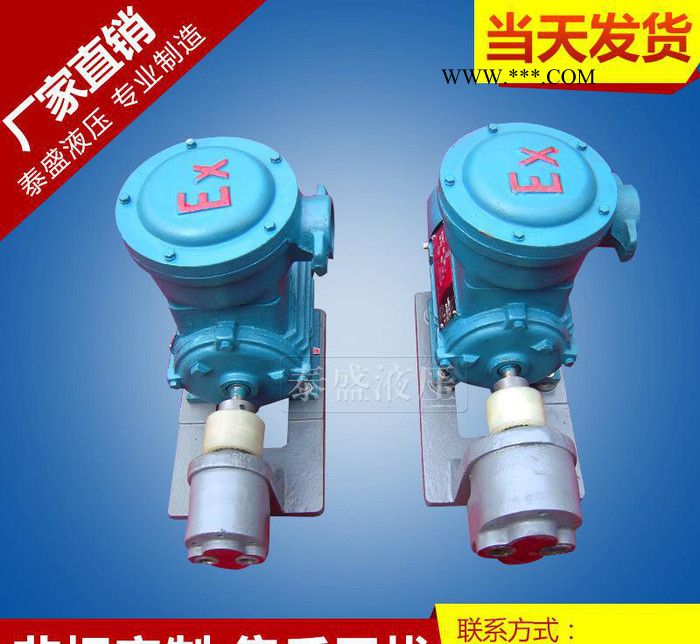 WBZ-B63FB齿轮油泵防爆电机组 卧式铸铁电动齿轮泵图3