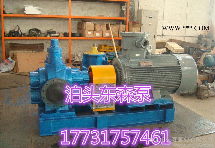 **无泄漏 防爆齿轮油泵 KCB-960【质量保证】图1