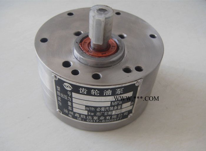 供应鑫胜达CB-B齿轮泵,齿轮油泵,CB-B齿轮泵图2