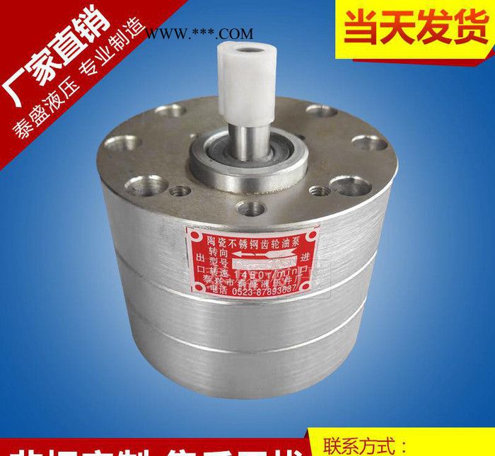 齿轮油泵厂家 ** CB-BNS16不锈钢耐酸碱泵齿轮油泵润滑泵 不锈钢齿图3