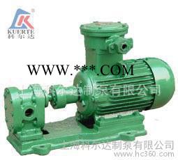 齿轮润滑泵 容积式泵 2CY2.1/10 齿轮油泵图2