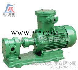 齿轮润滑泵 容积式泵 2CY2.1/10 齿轮油泵图3