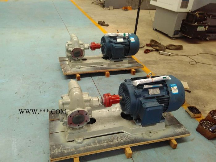 东森泵业专业生产KCB300 KCB300齿轮泵 齿轮油泵图2