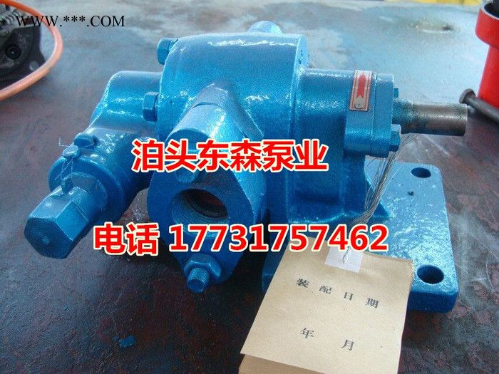东森泵业专业生产KCB300 KCB300齿轮泵 齿轮油泵图3
