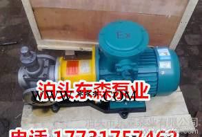 KCB5400大流量齿轮油泵，现货东森大流量齿轮泵图2