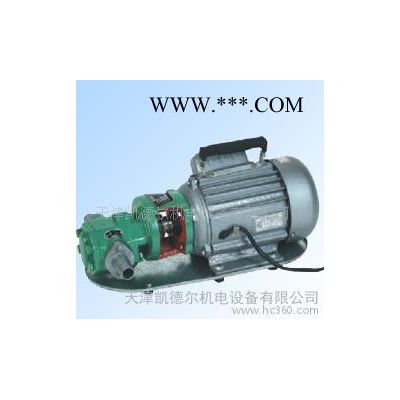 低价现货WCB-30手提式齿轮油泵.油脂泵.泵