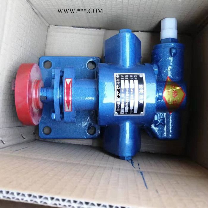 宇硕KCB-18.3齿轮泵铸铁齿轮油泵 泊头齿轮泵厂家 油类输送泵润滑油输送泵图4