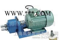 S-25微型齿轮油泵/S型输油泵（普通型、不锈钢型）：