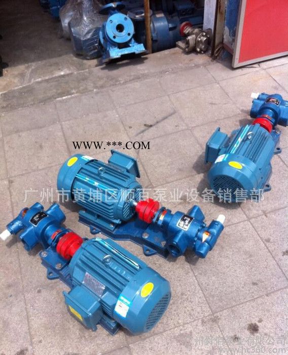 &不锈钢齿轮泵.不锈钢齿轮油泵.KCB齿轮泵.吸油泵.抽油泵图2