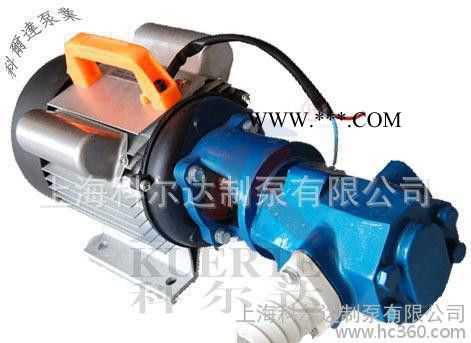 KUERTE/科尔达 不锈钢手提式齿轮泵 WCB-30 防爆型齿轮油泵图2