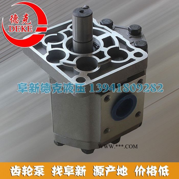 阜新液压齿轮泵 CBT-F532-580 齿轮油泵 液压泵图2