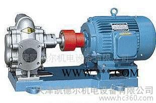 KCB/2CY不锈钢齿轮油泵.化工泵.防爆油泵图2