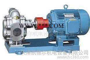 KCB/2CY不锈钢齿轮油泵.化工泵.防爆油泵图3