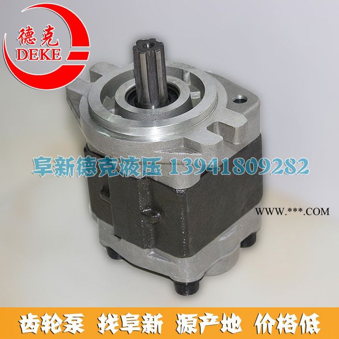 阜新液压齿轮泵 CBFz-F23-36-AL 齿轮油泵 液压泵图2
