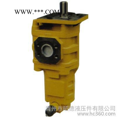供应青州昭德高压低压齿轮油泵 山东威海装载机配件图2