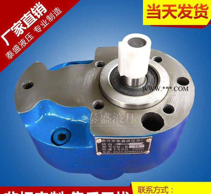 不漏油CB-B16齿轮油泵  CB-B16F-BM16-B1图2