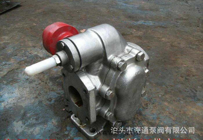 海通厂家耐高温齿轮油泵，食品专用泵，2CY系列不锈钢泵图3