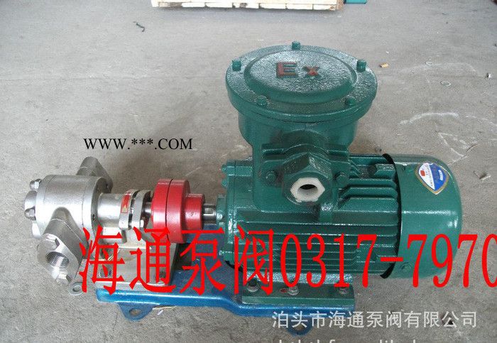 海通厂家耐高温齿轮油泵，食品专用泵，2CY系列不锈钢泵图2