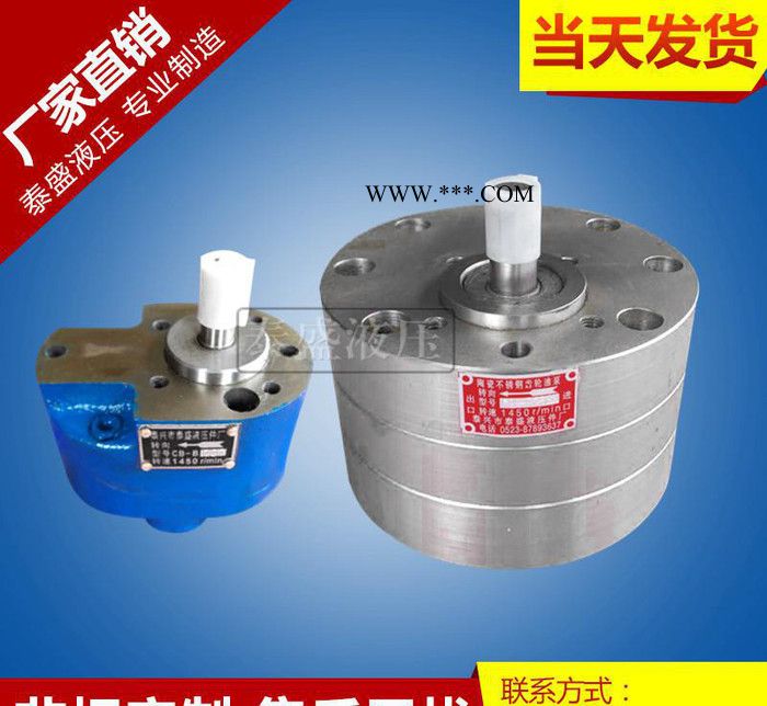 强力推荐CB-BNS25不锈钢耐腐蚀氨水齿轮油泵  不锈钢氨图3