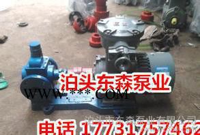 东森KCB200不锈钢齿轮油泵，不锈钢齿轮泵，4KW齿轮泵图2