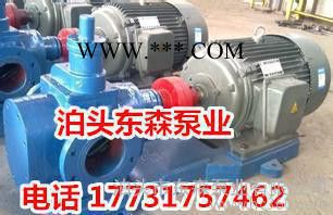 东森KCB200不锈钢齿轮油泵，不锈钢齿轮泵，4KW齿轮泵图3
