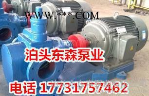 KCB960不锈钢齿轮泵，58立方不锈钢齿轮油泵图2