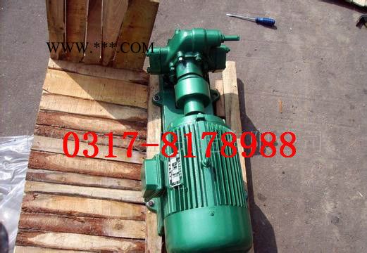 齿轮油泵防爆 KCB633/齿轮油泵/大流量耐腐蚀泵/ 2CY-58/立方齿轮泵图4