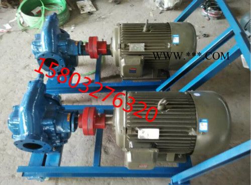 齿轮油泵防爆 KCB633/齿轮油泵/大流量耐腐蚀泵/ 2CY-58/立方齿轮泵图3