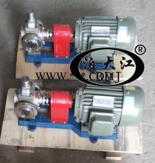 专业高效圆弧齿轮泵/YCB20-0.6不锈钢圆弧齿轮油泵/防爆圆弧齿轮油泵/齿轮油泵图3