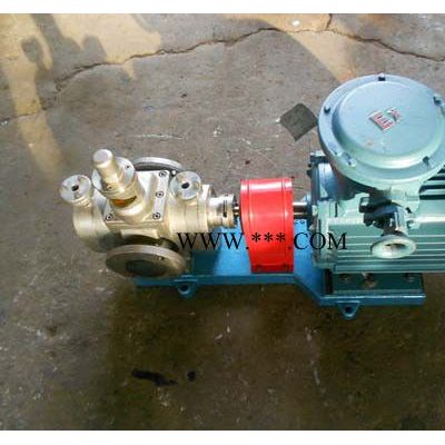 专业高效圆弧齿轮泵/YCB20-0.6不锈钢圆弧齿轮油泵/防爆圆弧齿轮油泵/齿轮油泵